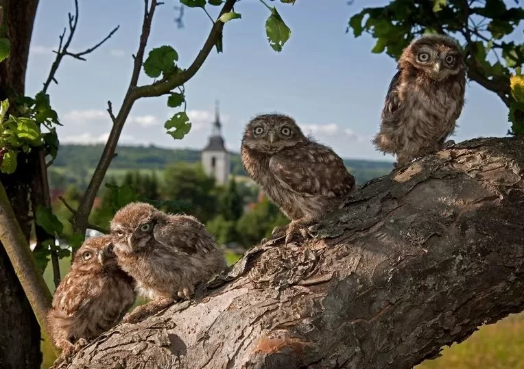 Bliesgau-Biosphere-Reserve