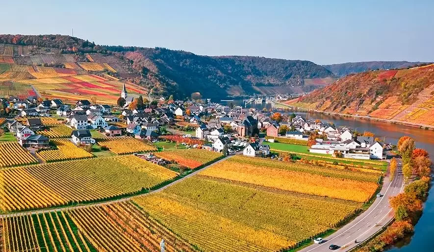 Germany's Wine Route - Ecotourism in Germany