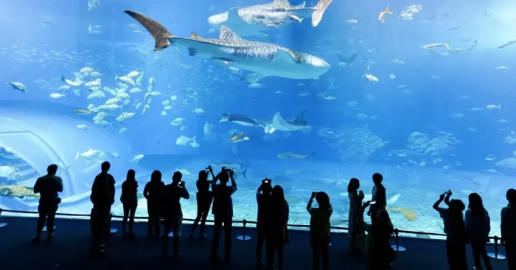 Visit Aquarium de Lyon