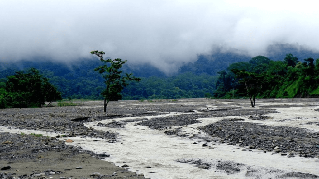 Dooars in West Bengal; places to tour in Bengal