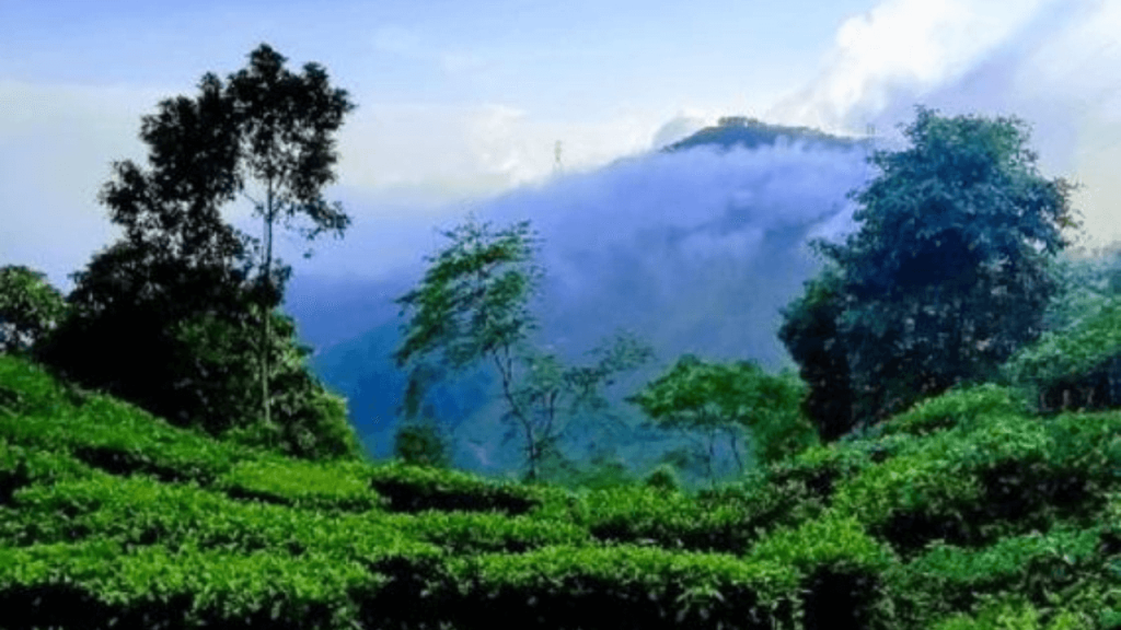 Bungkulung - tourist spots in eastern India