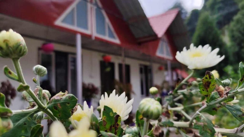 Mountain Holiday Spots to Visit Near Kolkata Within 700 Km - Pedong