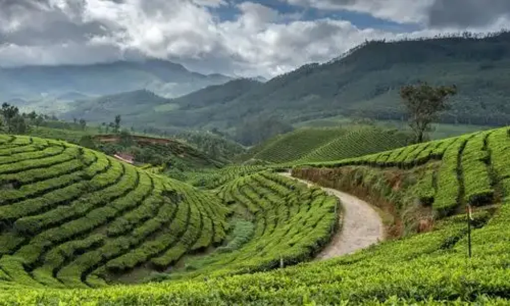Darjeeling image - Darjeeling Tourism Guide
