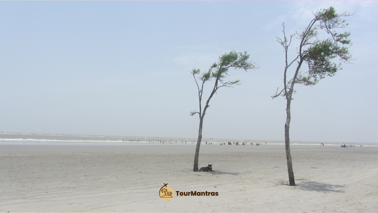 Bakkhali Sea Beach Travel Guide