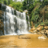 Forest Trip Near Kolkata: 6 Exciting Jungle Escapes for a Worthy Weekend BreaK