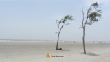 Bakkhali Sea Beach Travel Guide: Places, Itinerary, Stay & How to Reach
