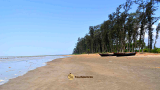 Hijli Sea Beach: Complete Travel Guide, Birdwatching, Stay & How to Reach