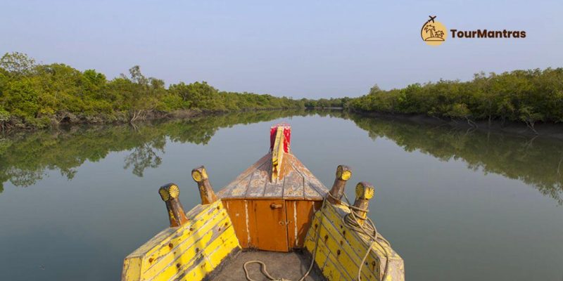 Sundarban Trip: Things to See in Sundarban Mangroves, Cost, and More
