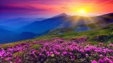 TourMantras Tour Packages: Gangtok and North Sikkim Tour Package