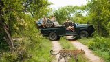 Countries to Visit in Africa: Best Destinations for Safari, Beaches, Culture & More